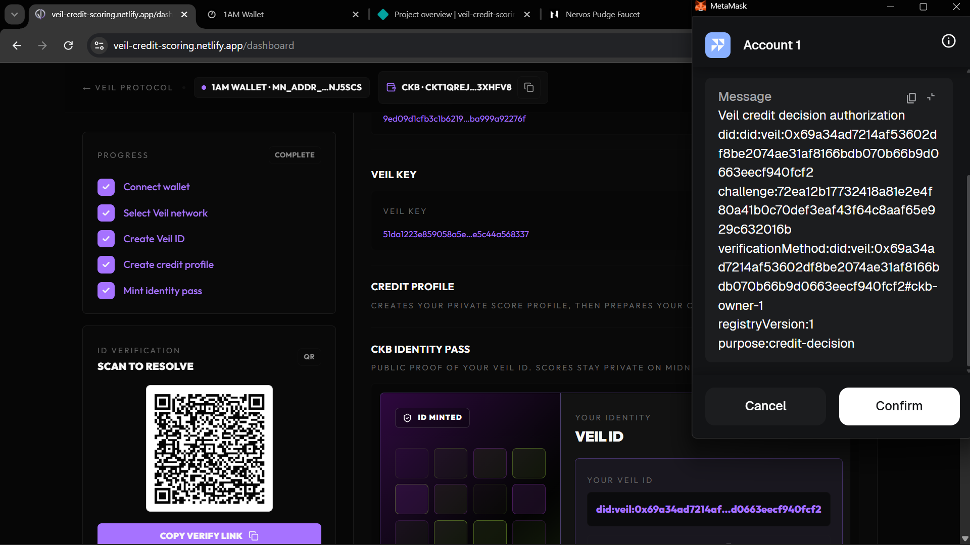 MetaMask showing the Veil DID credit decision authorization message to sign
